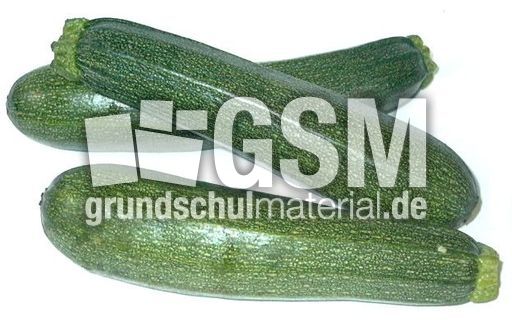 Zucchini-3.jpg